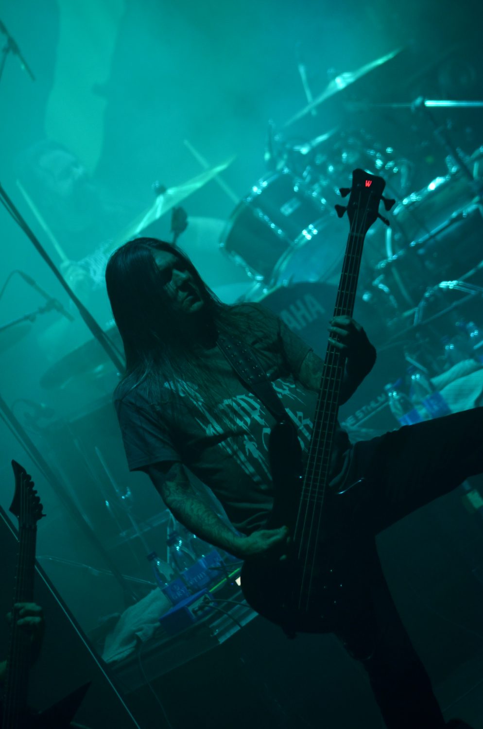 DismemberBassist 994x1500 - House of Metal, la casa del metal en Botnia occidental, norte de Suecia