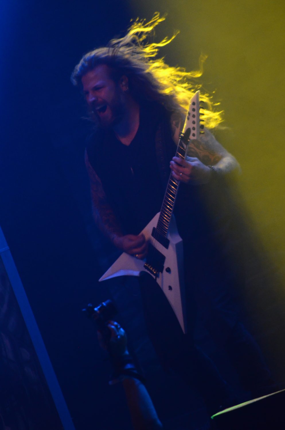 OgdenGuit 994x1500 - House of Metal, la casa del metal en Botnia occidental, norte de Suecia