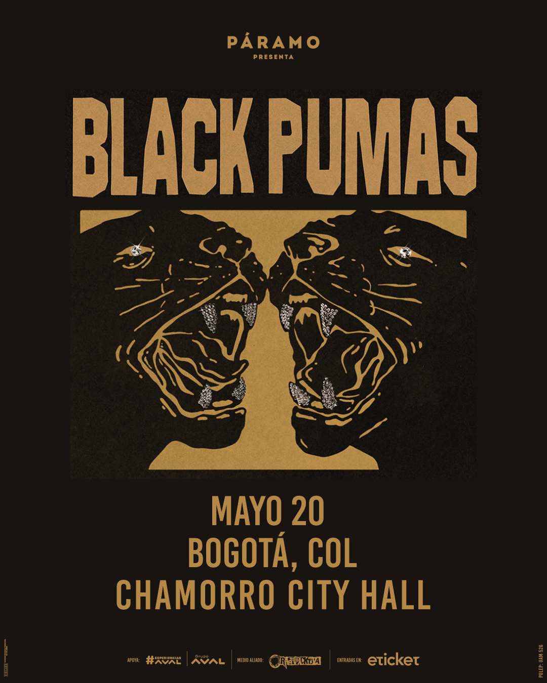 image 136 - Black Pumas en Colombia: una noche de emociones y diamantes